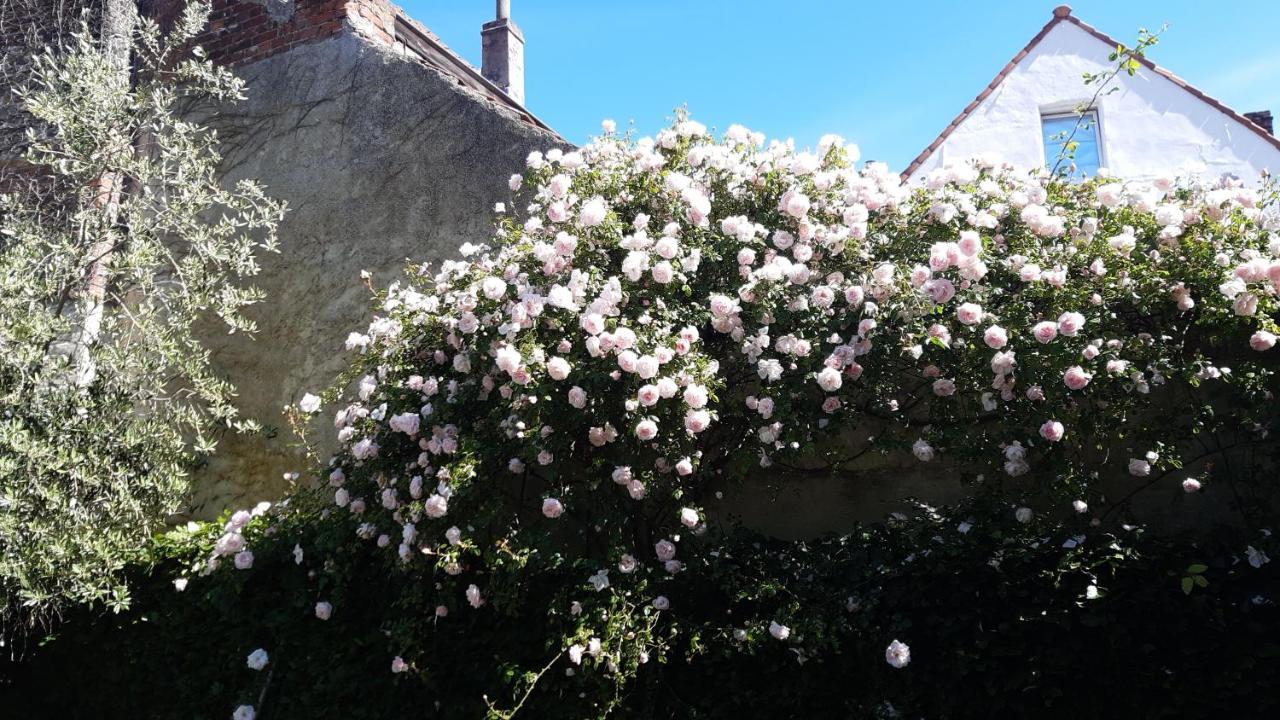 Artuur Bed & Breakfast Bruges